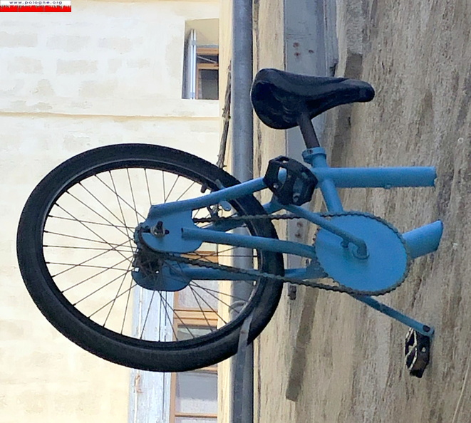 z v 1 .jpg